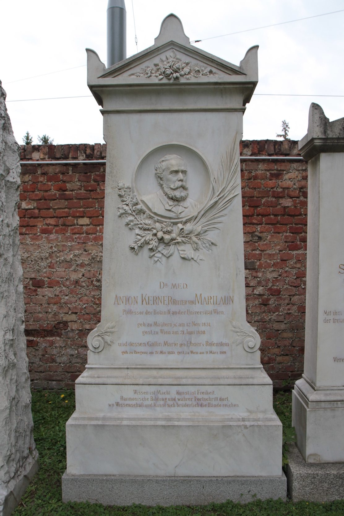 Anton Kerner von Marilaun's tomb, Vienna - 03.JPG